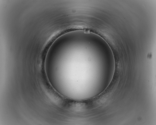 X0000092040304200709191106