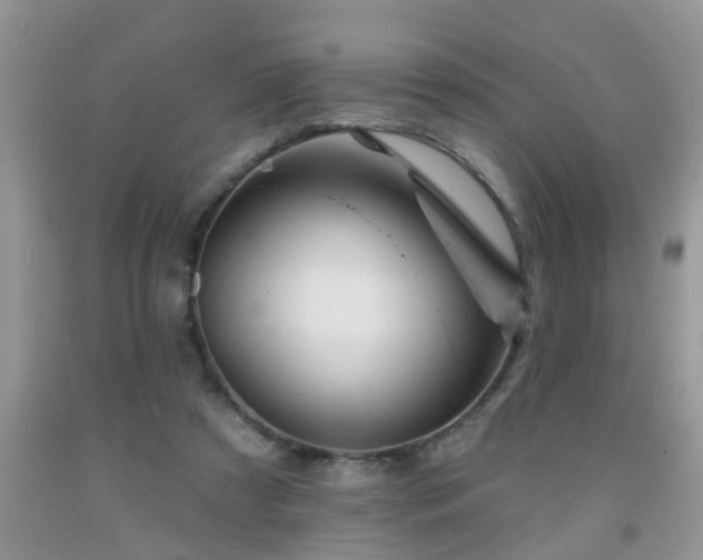 X0000092040305200709191106