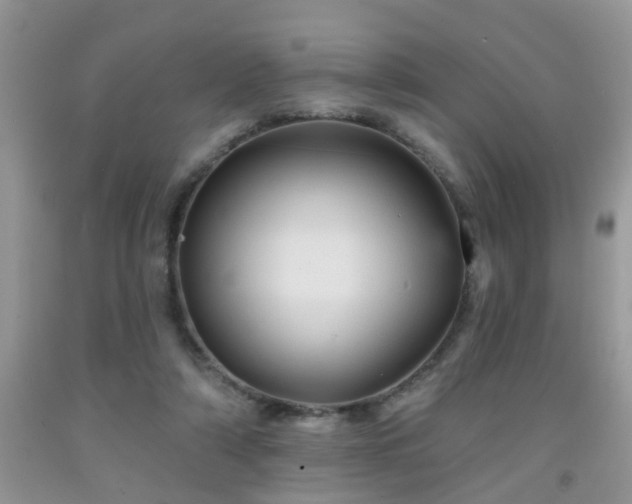 X0000092040306200709191106