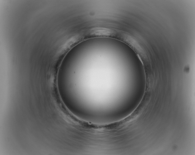 X0000092040309200709191106