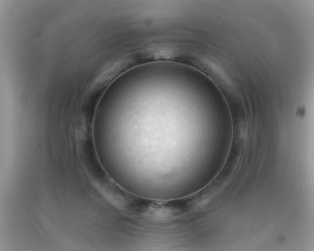 X0000092040311200709191106