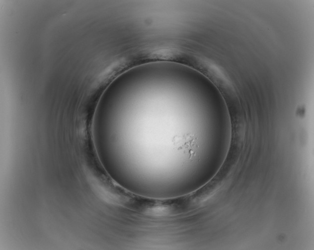 X0000092040312200709191106