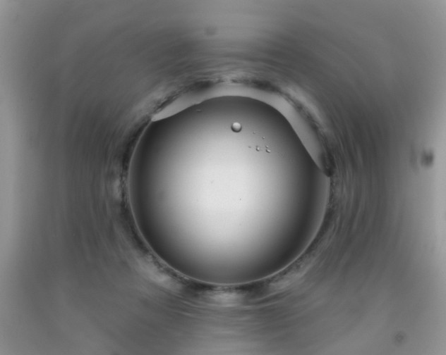 X0000092040313200709191106