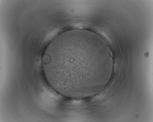 X0000092040314200709191106