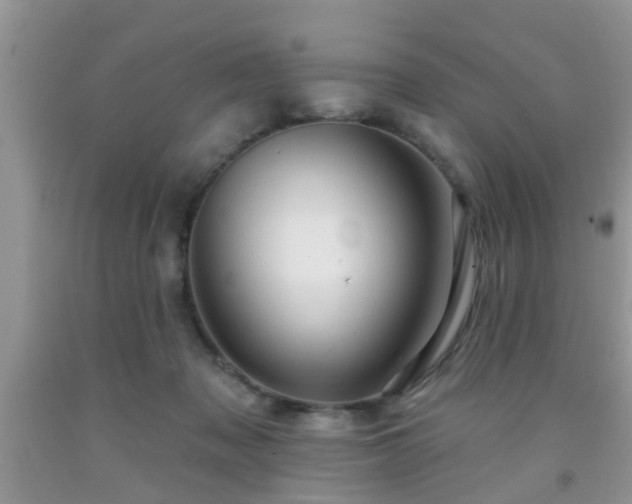 X0000092040317200709191105