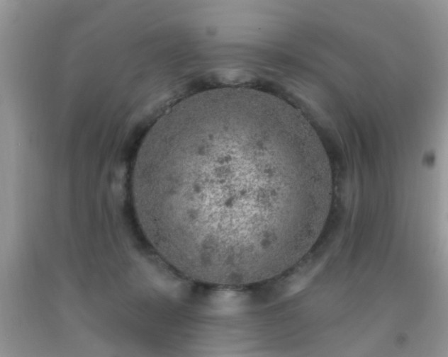 X0000092040319200709191105