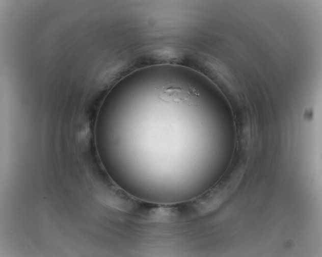 X0000092040320200709191105