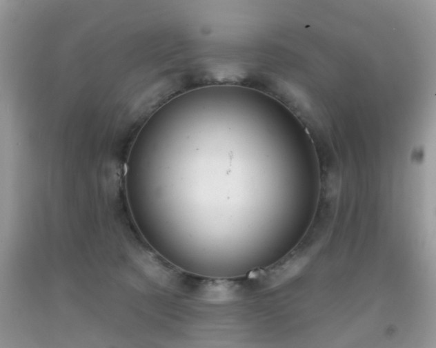 X0000092040321200709191105