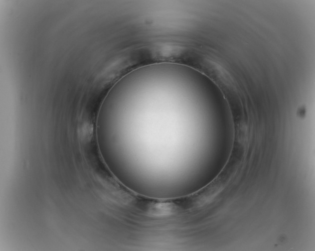 X0000092040324200709191105