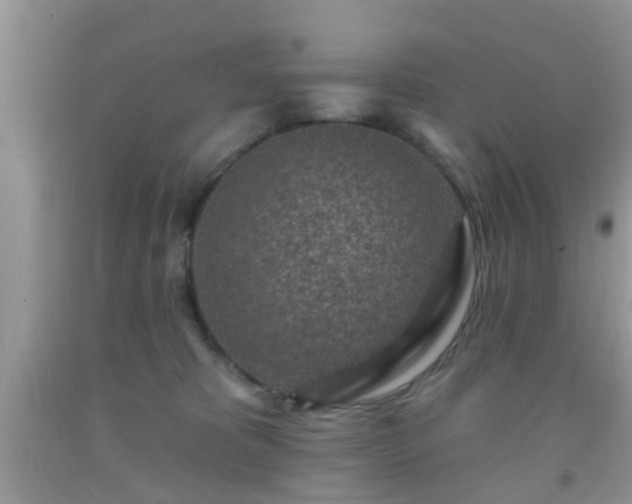 X0000092040325200709191105