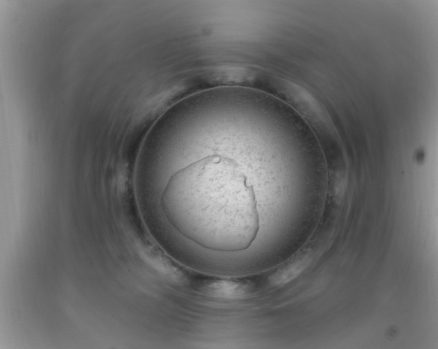 X0000092040326200709191105