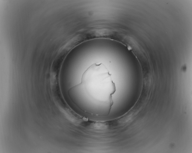 X0000092040327200709191105