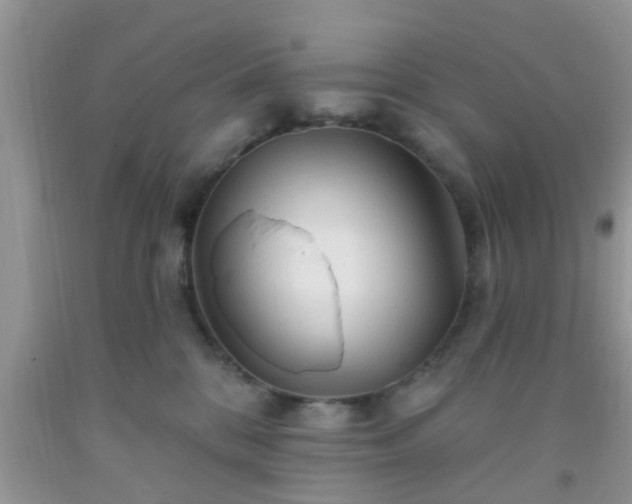 X0000092040328200709191105