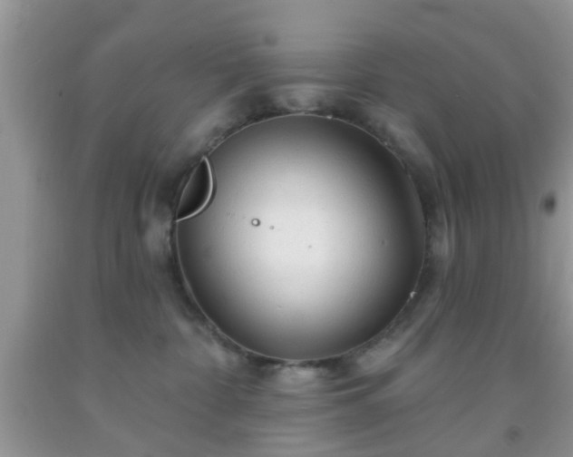 X0000092040332200709191105