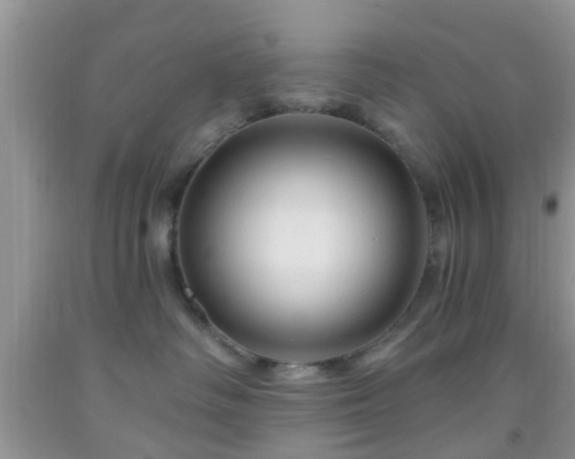 X0000092040334200709191105