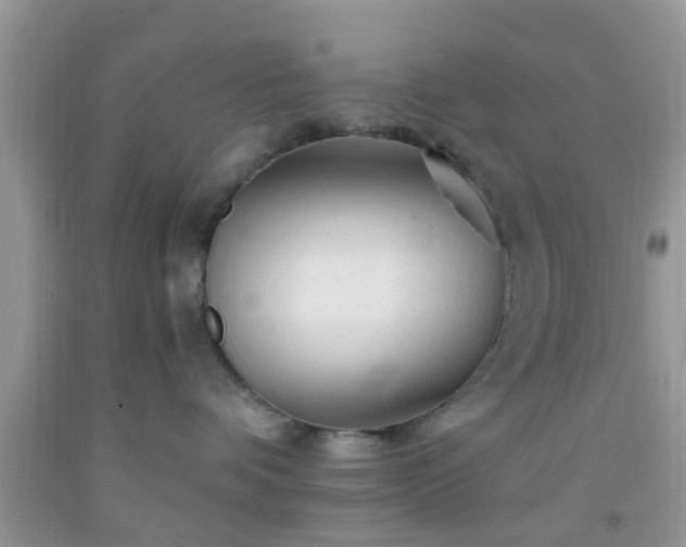 X0000092040336200709191105