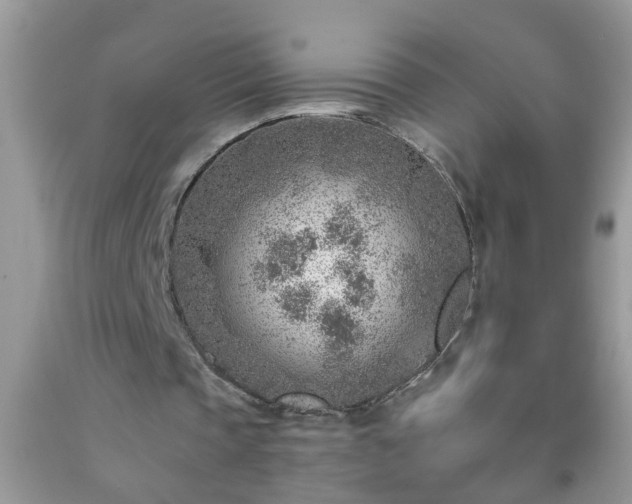 X0000092040337200709191105