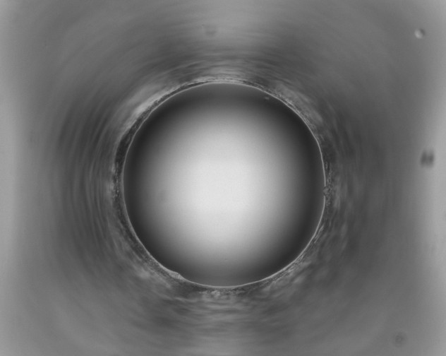 X0000092040338200709191105