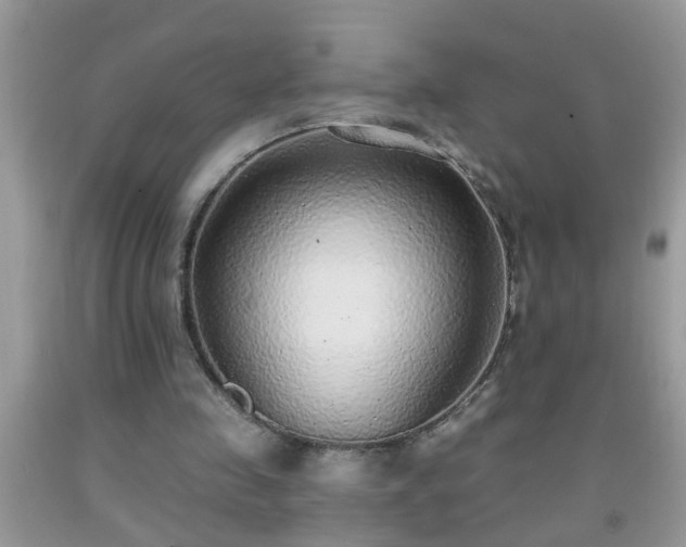 X0000092040341200709191105