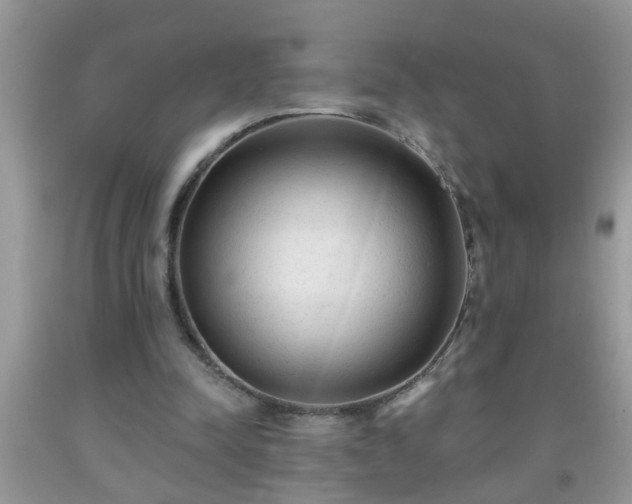 X0000092040342200709191105