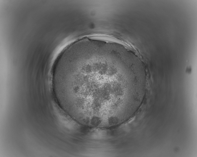 X0000092040343200709191105