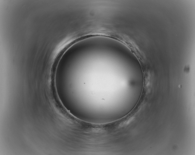 X0000092040344200709191105