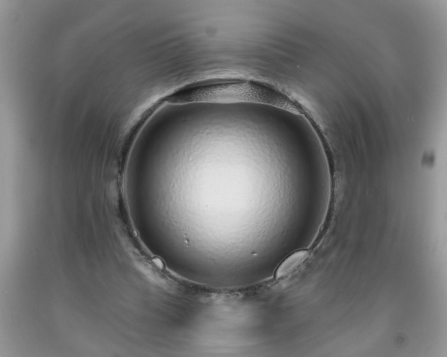 X0000092040345200709191105