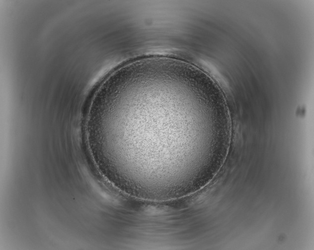 X0000092040346200709191105