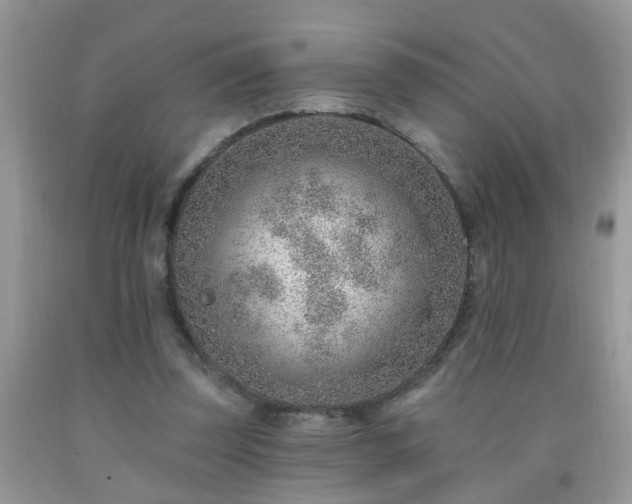 X0000092040347200709191105