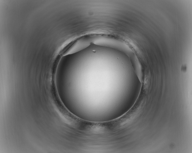 X0000092040348200709191105