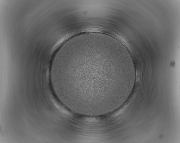 X0000092040349200709191105