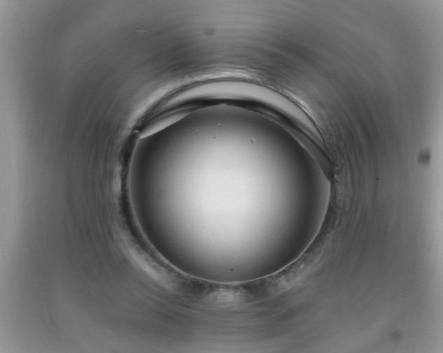 X0000092040350200709191105