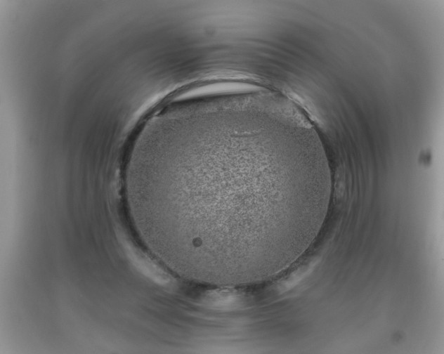 X0000092040351200709191105