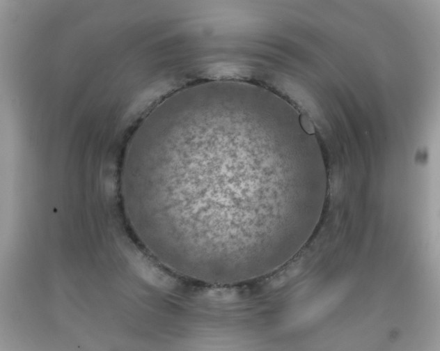 X0000092040353200709191105