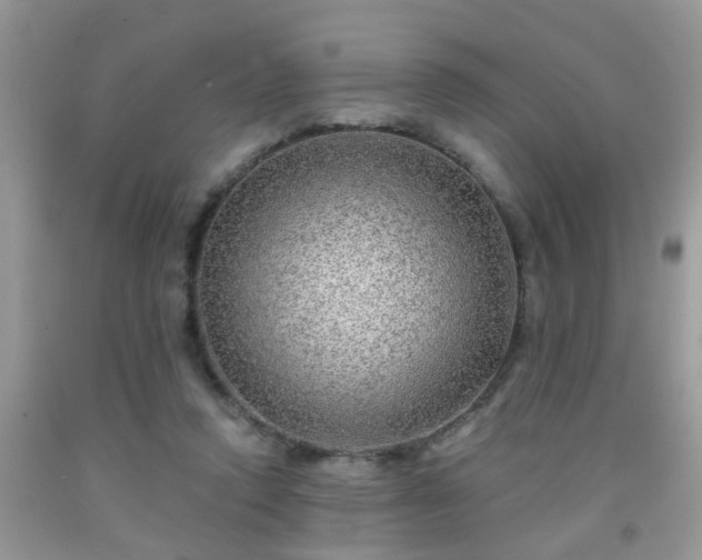 X0000092040354200709191105