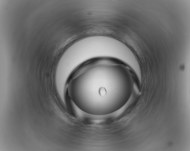 X0000092040356200709191105