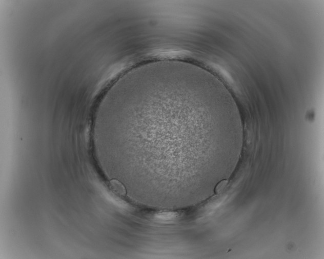 X0000092040357200709191105