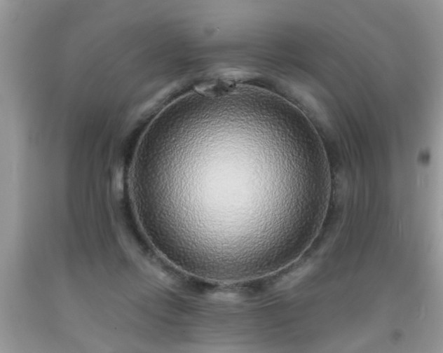 X0000092040358200709191105