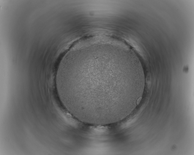 X0000092040359200709191105