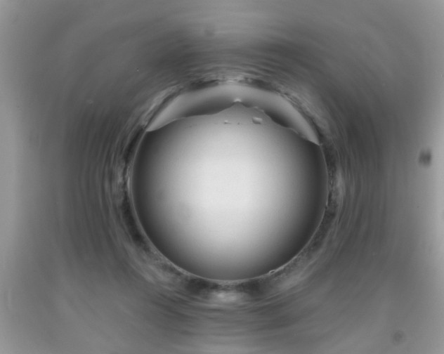 X0000092040360200709191105