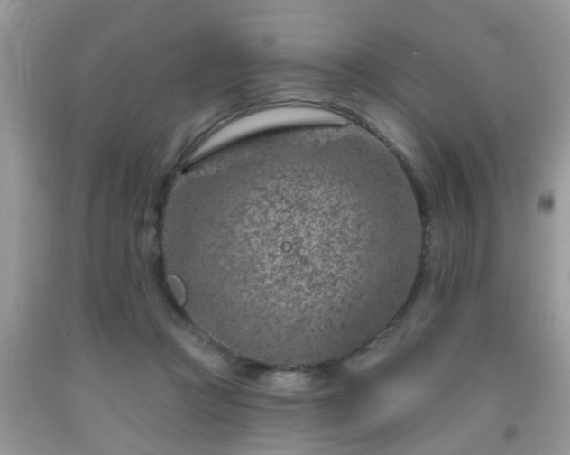 X0000092040361200709191105