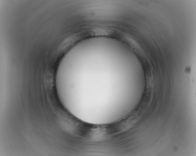 X0000092040362200709191105