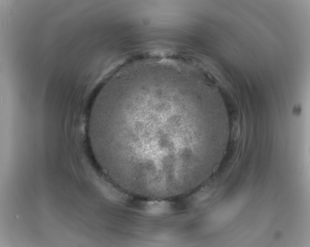 X0000092040363200709191105