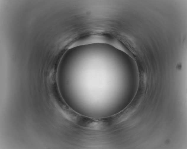 X0000092040364200709191105