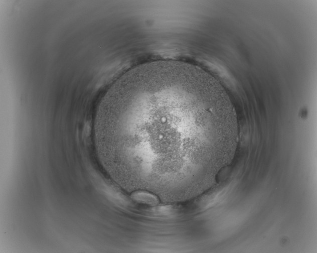 X0000092040365200709191105