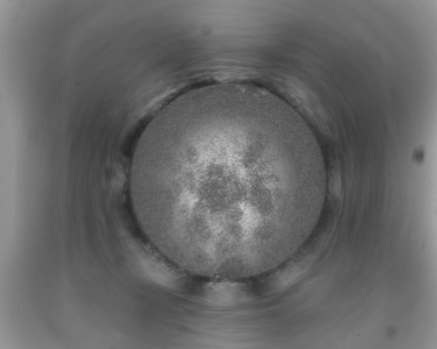 X0000092040367200709191105