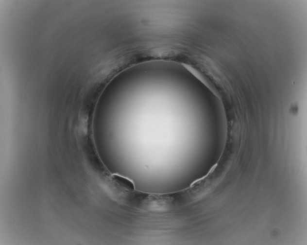 X0000092040368200709191105