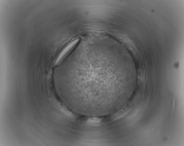 X0000092040369200709191105