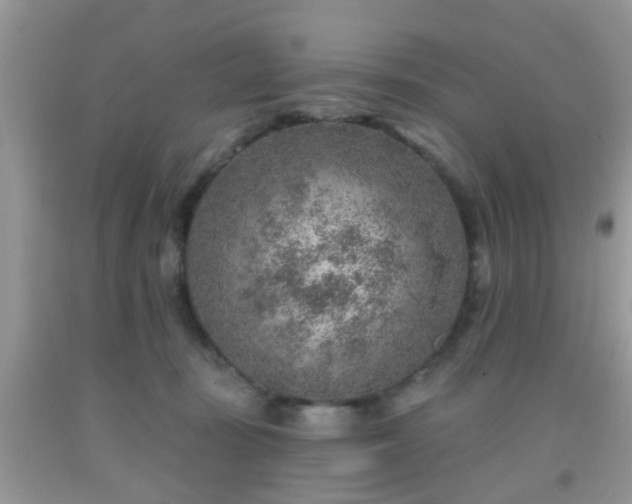 X0000092040371200709191105