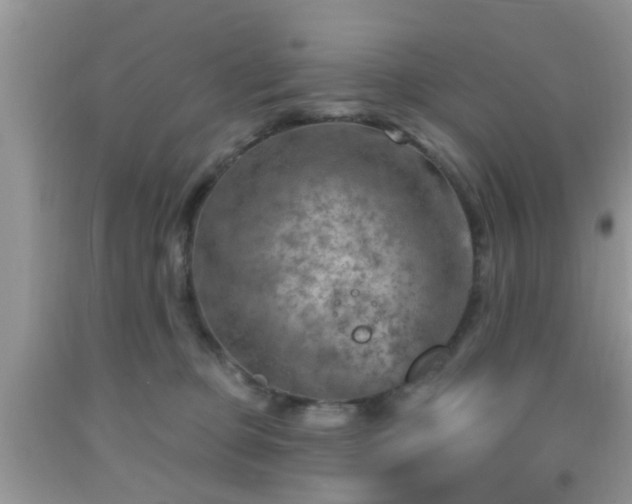 X0000092040373200709191105